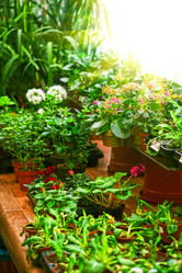 Similar image 8227482