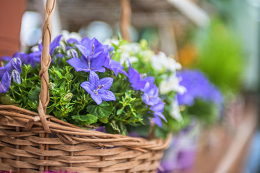 Similar image 8227487