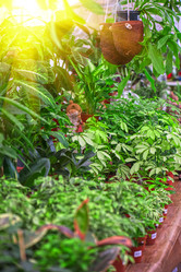 Similar image 8227500