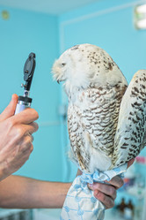 Similar image 8227673