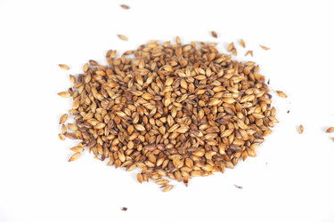 Similar image 8227686