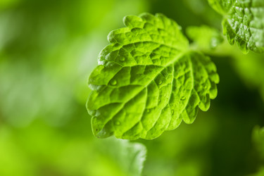 Similar image 8227695