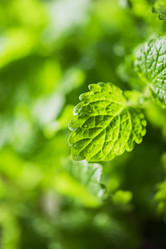 Similar image 8227702