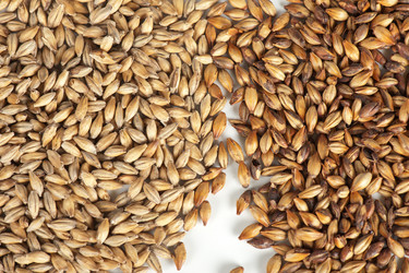 Similar image 8227714