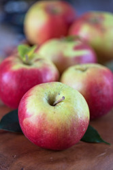 Similar image 8227740