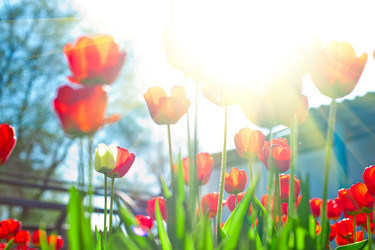 Similar image 8227747