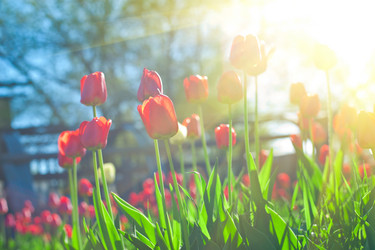 Similar image 8227757