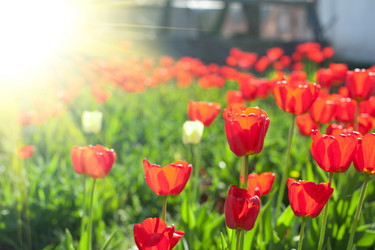 Similar image 8227764