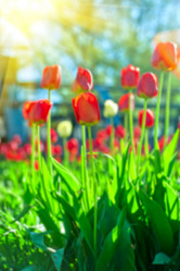 Similar image 8227765