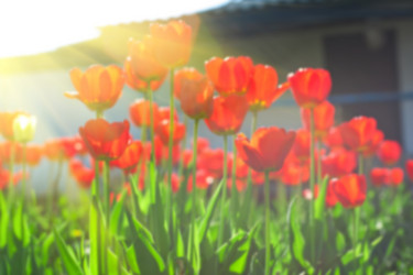 Similar image 8227771