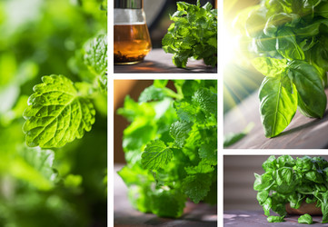 Similar image 8227844