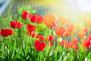 Similar image 8227884