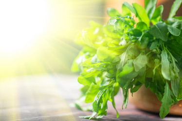 Similar image 8227927