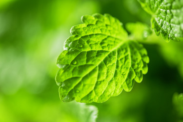 Similar image 8228019