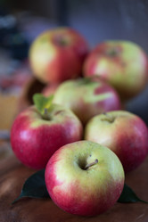 Similar image 8228049