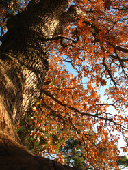 Similar image 8228075