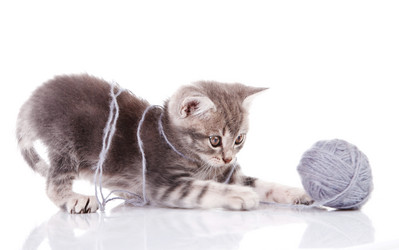 Similar image 8228104