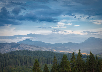 Similar image 8228108