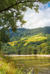 Similar image 8228109