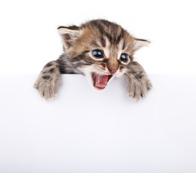 Similar image 8228116