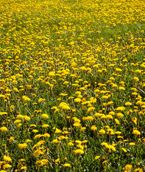 Similar image 8228121