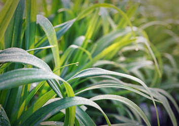 Similar image 8228152