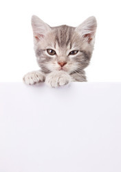 Similar image 8228158