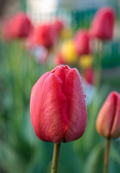 Similar image 8228163