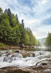 Similar image 8228167