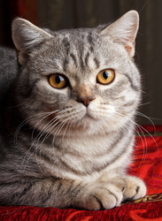 Similar image 8228182