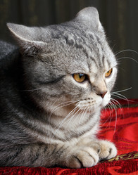 Similar image 8228184