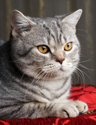 Similar image 8228186