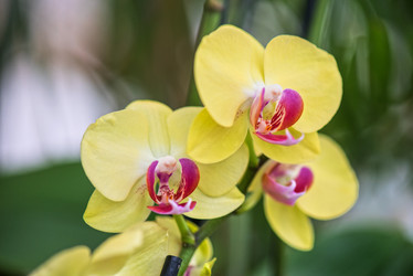 Similar image 8228214