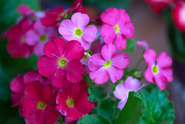 Similar image 8228218