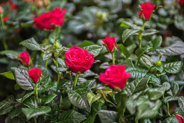 Similar image 8228223