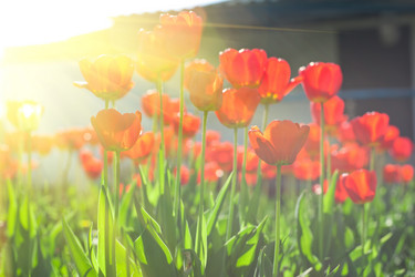 Similar image 8228243