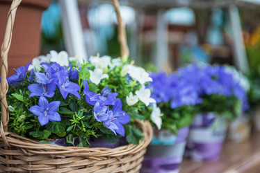 Similar image 8228247