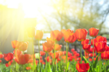 Similar image 8228274