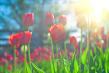 Similar image 8228275