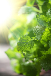 Similar image 8228285