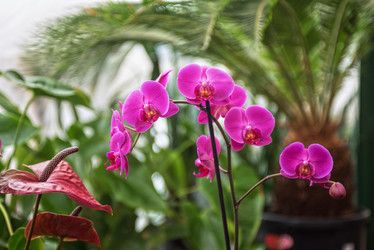 Similar image 8228338