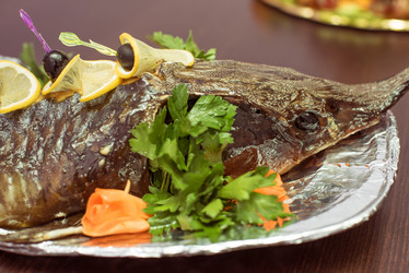 Similar image 8228346