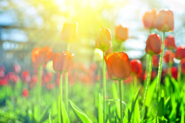 Similar image 8228404