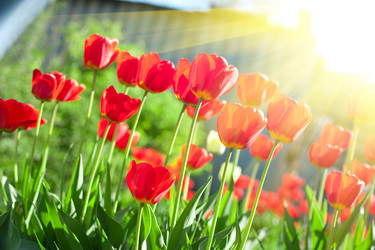 Similar image 8228410