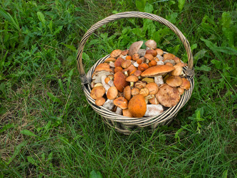 Similar image 8228514