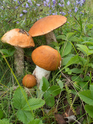 Similar image 8228533