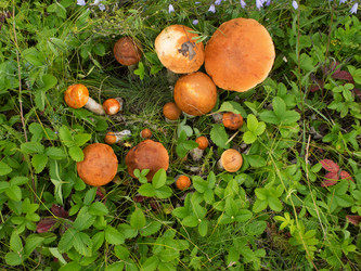 Similar image 8228543