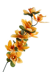 Similar image 8228548