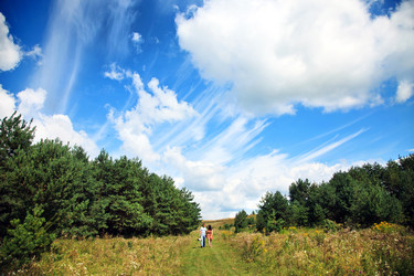 Similar image 8228549