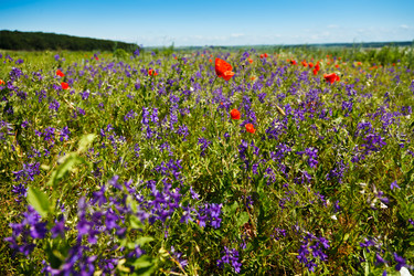 Similar image 8228550